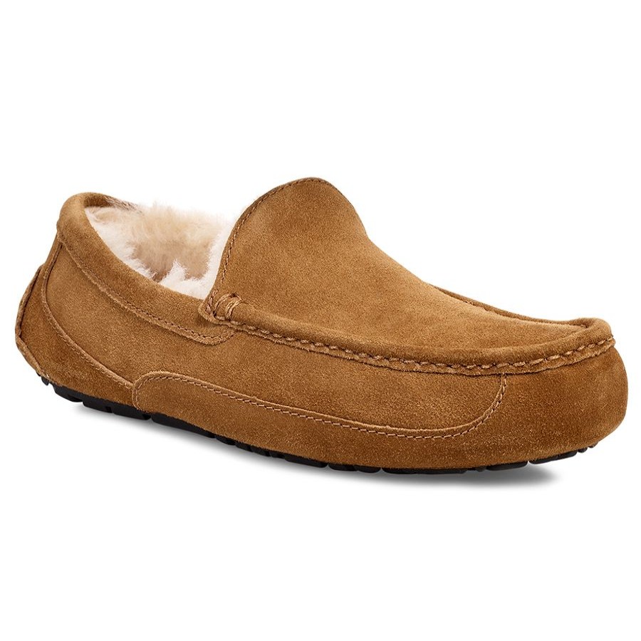 Men Uggs Slippers | Ascot-Chestnut