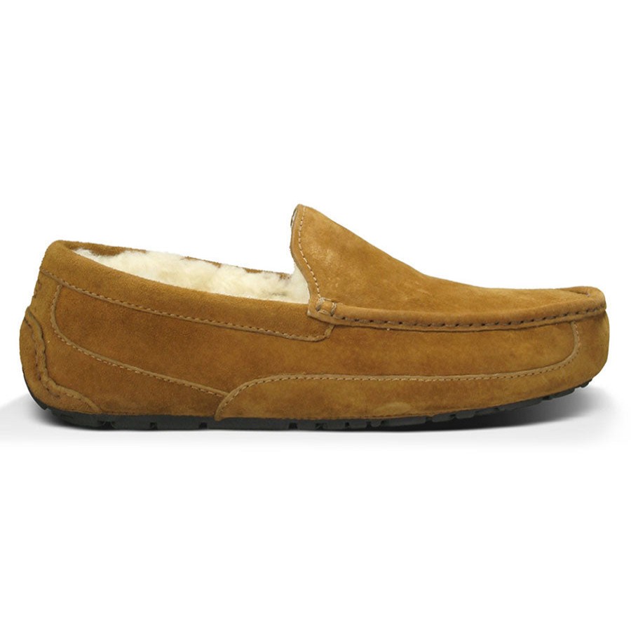 Men Uggs Slippers | Ascot-Chestnut