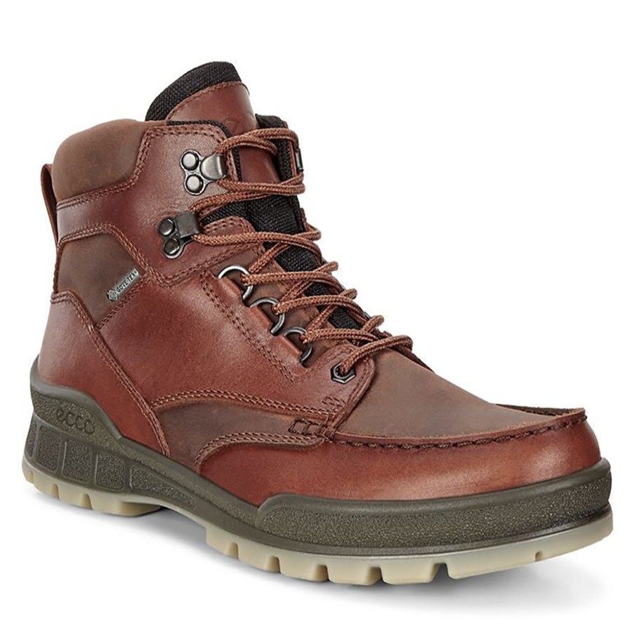 Men Ecco Boots | Track 25 High-Bison