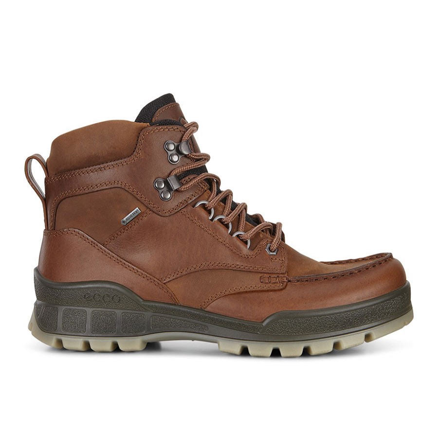 Men Ecco Waterproof Shoes Or Boots | Track 25 High-Bison