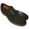 Men Alden Casual Lace Shoes | Josh Blucher D1406C